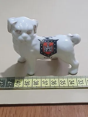Buy Crested Ware, Arcadian China, Dog, Invictus Dune (G3D15) • 10£