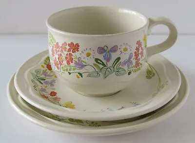 Buy POOLE ENGLAND OVEN TO TABLEWARE TEA CUP SAUCER SIDE PLATE 'Wild Garden'  • 8.99£
