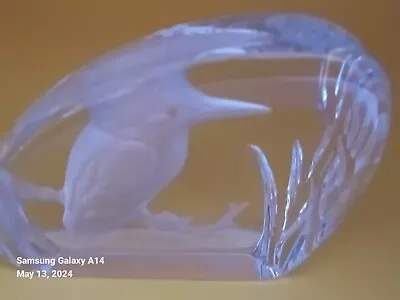Buy Wedgewood Crystal Glass Bird Paperweight - Kingfisher - 8 X 10cm • 12.99£