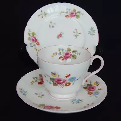 Buy Shelley Vintage Trio Floral Rose & Red Daisy Baby Pink Bone China 13425 • 10£