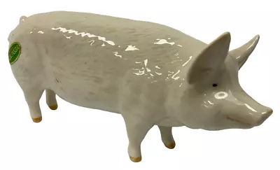 Buy Beswick Retired Boar Ch Wall Champion Boy 53rd Pig Figurine Ornament - C12 O941 • 8.50£