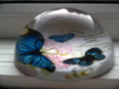 Buy Glass Paperweight With Decorative Butterfly Design, 9.5cm Diameter Base • 7.50£