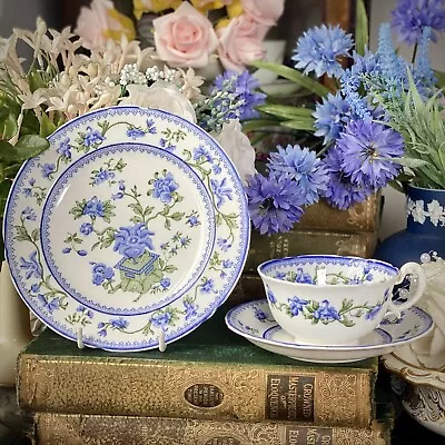 Buy ROYAL Worcester Tea Cup Saucer Plate Trio Antique Blue & White & Green English • 12.99£