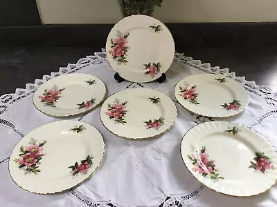 Buy Vintage Royal Albert Bone China “prairie Rose” Tea Set Side Plates • 10£