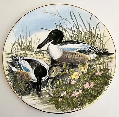 Buy Fenton China The Wildfowl Series No. 6 Shoveller “Ducks”by John Gould 8.5  Plate • 3.99£
