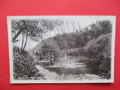 Buy Branksome Chine-BOURNEMOUTH-1915 Postcard • 1£