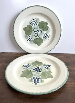 Buy Poole Pottery Vineyard Vintage 1993 Hand Painted 10.5/27cm Dinner Plates X 2 • 29.99£