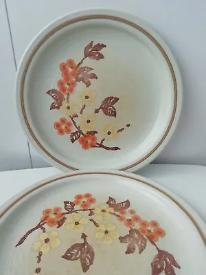 Buy Pair Of Vintage Churchill Staffordshire Autumn Gold Plates • 9.95£