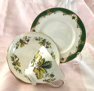 Buy Beautiful Royal Vale Cup & Saucer. Royal Worcester Tea Plate. Autumnal Berries.. • 6£