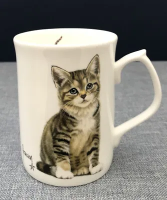 Buy Francien’s Cats Fine Bone China Mug 1996 Duchess  • 4.99£