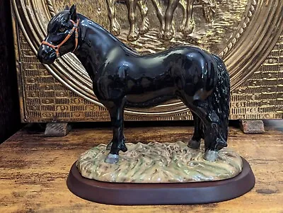 Buy Royal Doulton Animals - Shetland Pony - RDA56 - With Stand • 34.99£