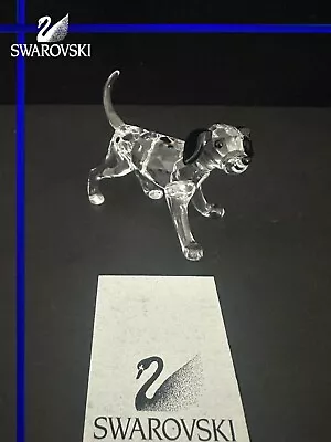 Buy Swarovski Dalmatian Puppy Standing 628947 - Box + Coa • 60£