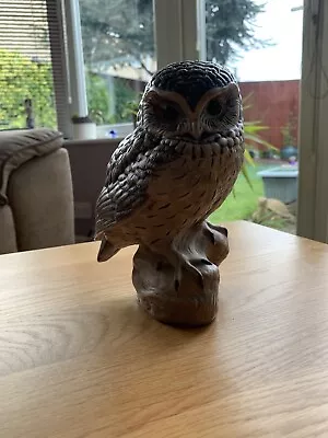 Buy Poole Pottery Little Owl • 10£