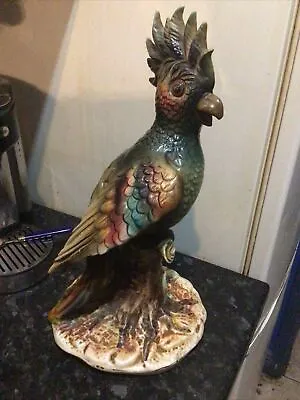 Buy Capodimonte Made In Italy Large Parrot Figurine  • 30£