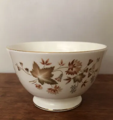 Buy Vintage Colclough Sugar Bowl Autumn Leaves Design Made In England Bone China • 3£