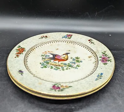 Buy Antique NY Booths Bowing Pheasant Bird Salad Dessert Plate Set/2 7.75  Flower  • 53.78£