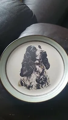 Buy Purbeck Pottery Dog Plate • 5.99£