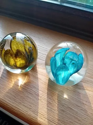 Buy A Pair Of Beautiful Vintage Strathearn P4 Orchid Paperweights  • 28£