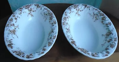Buy 2 X Minton China Ancestral S376 Large Oval Serving Bowls For Veg Or Pasta • 3£