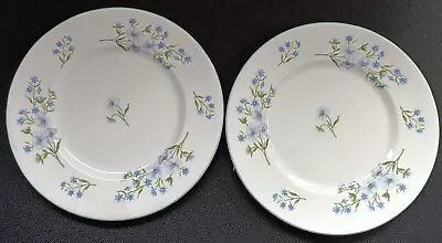 Buy Shelley Pottery Blue Rock 2 Plates Collectable • 4.95£
