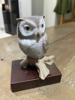 Buy Lladro Lucky Owl Porcelain Figurine #8035 - Excellent Condition • 20£