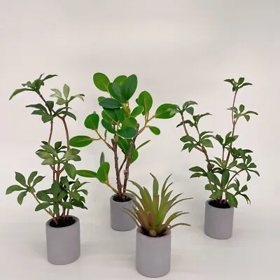 Buy Dolls House Miniatures 1/6 Scale Green Tree  Potted Plant Garden Accessories • 7.79£