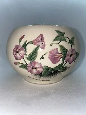 Buy Vintage Holkham Pottery Floral Pot Convolvulus Arvensis • 8.99£