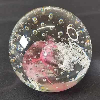 Buy Caithness Scotland  Pink Champagne  Glass Paperweight By Colin Terris • 12£