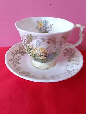 Buy Brambly Hedge Royal Doulton Season Spring Full Size Cup And Saucer  1st Quality • 18£