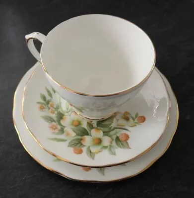 Buy Duchess Dogwood Bone China Trio, Tea Cup, Saucer And Plate • 9.95£