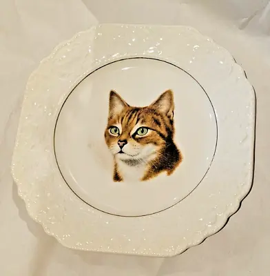 Buy Lord Nelson Pottery England Vintage Decorative Cat Lover Plate Collectible • 17.45£