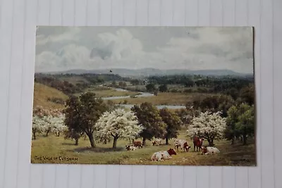 Buy J Salmon / A R Quinton - Vale Of Evesham, Blossom, Cattle, Landscape - Unposted • 4£