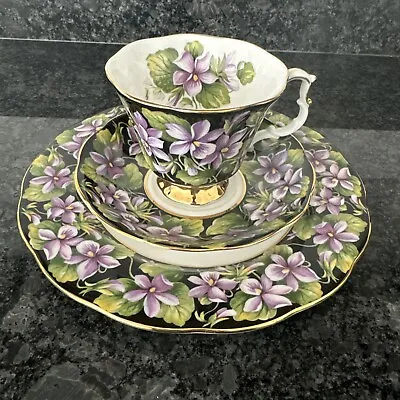 Buy Royal Albert Provincial Flowers Violet  Trio Teacup, Saucer. VGC • 48£