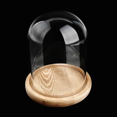 Buy 1/2x Glass Dome With Wooden Base Cloche Bell Jar DIY Decor Display Stand 15x20cm • 13.99£