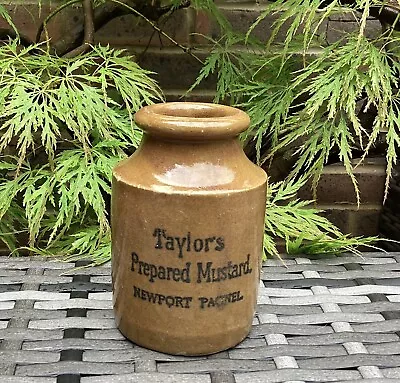 Buy Vintage Stoneware Prepared Mustard Bottle Newport Pagnall Collectable • 9.99£