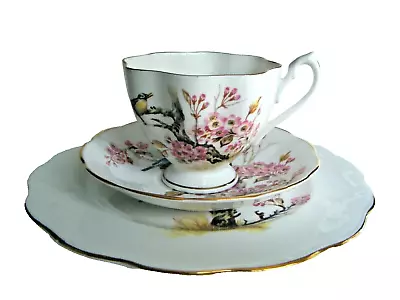 Buy Queen Anne Fine Bone China Tea Cup Saucer Dessert/Salad Plate Made In England • 23.63£