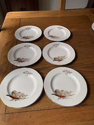 Buy Duchess Bone China Tea Plates X 6 - Pheasant Pattern • 6£