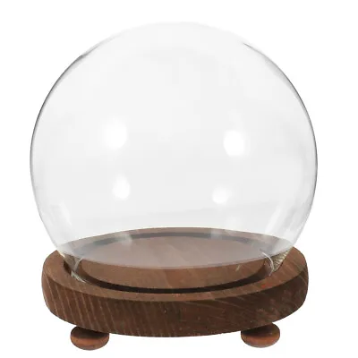 Buy  Glass Domes Small Display Case Flower Aquarium Globe Ornaments Gifts • 11.07£