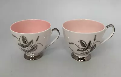 Buy Queen Anne Harvest Pink Set Of 2 Fine Bone China Tea Cups #GL • 4.07£