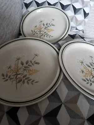 Buy 3 X Royal Doulton -  Will O The Wisp  Large Dinner Plates  (26.5cm)  • 9.99£