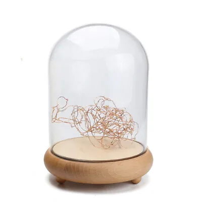 Buy Clear Large Glass Display Stand Bell Jar Dome Cloche With Wooden Base Decor Boxs • 6.95£