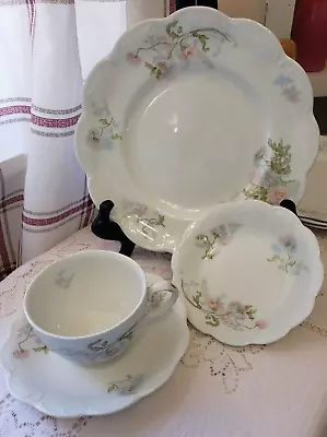 Buy Antique Johnson Brothers Transferware Pale Pink Blue Floral Embossed 21 Pieces • 75.17£