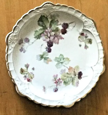 Buy ANTIQUE SEVRES PLATE W BEAUTIFUL BOTANICALS And GOLD TRIM • 47.31£