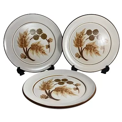 Buy Denby Cotswold Dinner Plates X 3 VGC • 12.99£