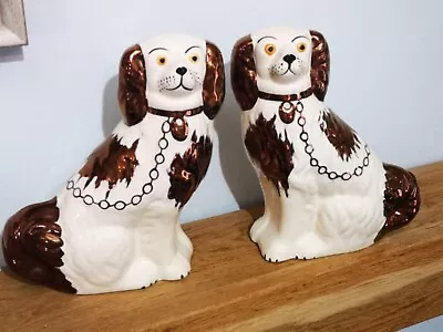 Buy Staffordshire Oldcourt Ware Cavalier King Charles • 50£