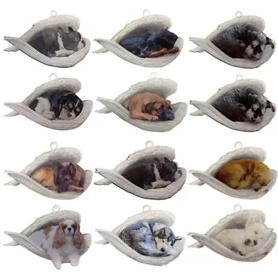 Buy Funny Cute Sleeping Angel Dog Wing Dog Hanging Ornament Keychain Car Pendants • 3£