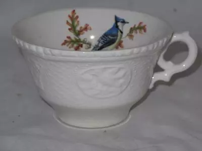 Buy Royal Cauldon Aviary Teacup Cup - Only Blue Jay • 30.70£