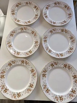 Buy Six Vintage Dinner Plates From Colclough..Bone China..Avon Design 10.5  • 14.95£