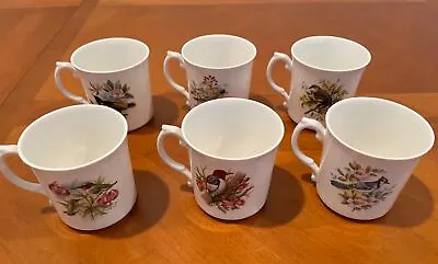 Buy Royal Grafton Fine Bone China North America Birds Coffee Tea Cups Mugs Set Of 6 • 28.26£