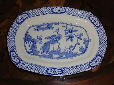 Buy British Anchor Pottery Medium Platter Exotic Bird Circa 1890 Blue & White • 26.99£